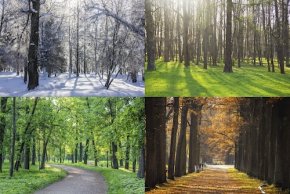 Времена года